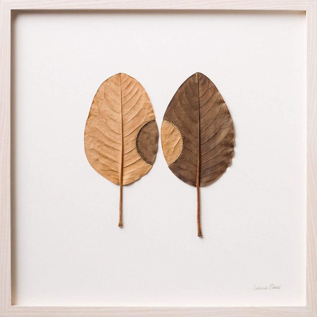 susanna-bauer-fulles-obra