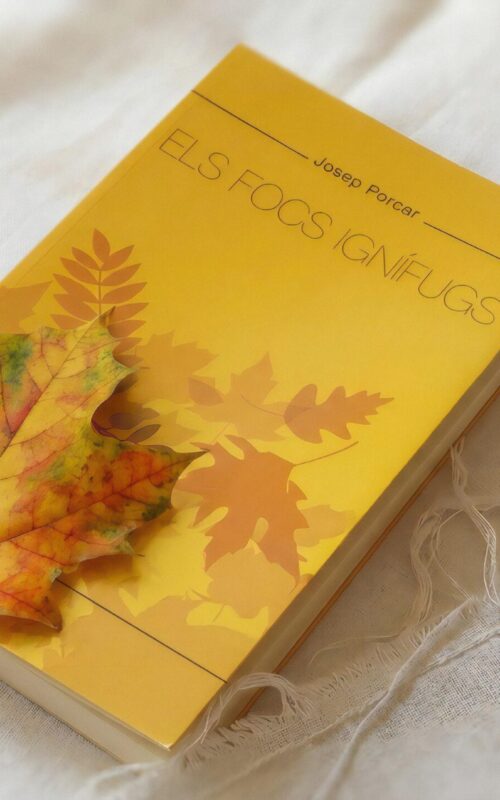 els-focs-ignifugs-coberta-22